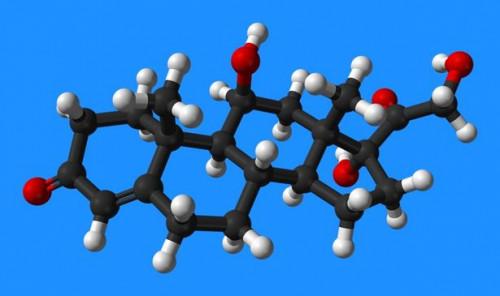 Formas de reducir el cortisol con las hierbas