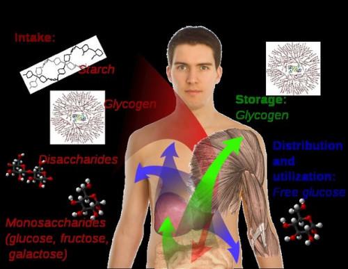 Información sobre el nivel de glucosa