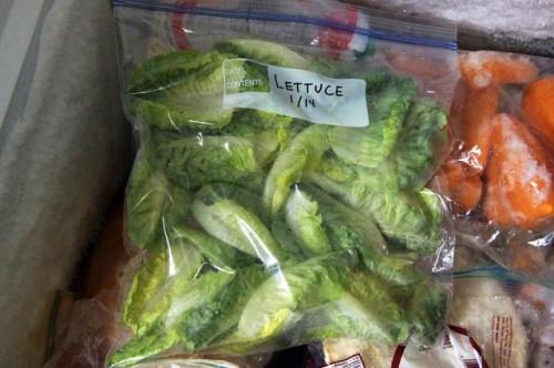 Cómo congelar las hojas de la lechuga