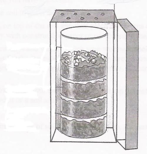 Cómo hacer un Wormery