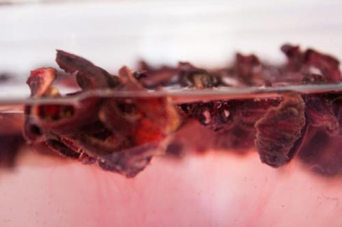 Cómo hacer té de hibisco Flores